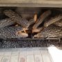 Photo of H & Sons Chimney Sweeps