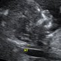 Photo of This is my: Health Screening and Ultrasound Centre