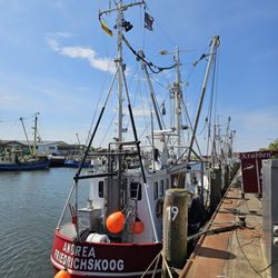 Fischereihafen - Hafenbecken II