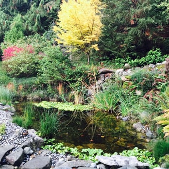 B & G Landscaping - My perfectly kept pond - Landscaping Near Me - Auburn, Washington