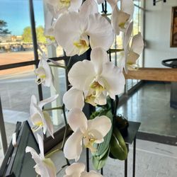 The Flower Market - Orchids on stands used to hide building flaws... very pretty & subtle