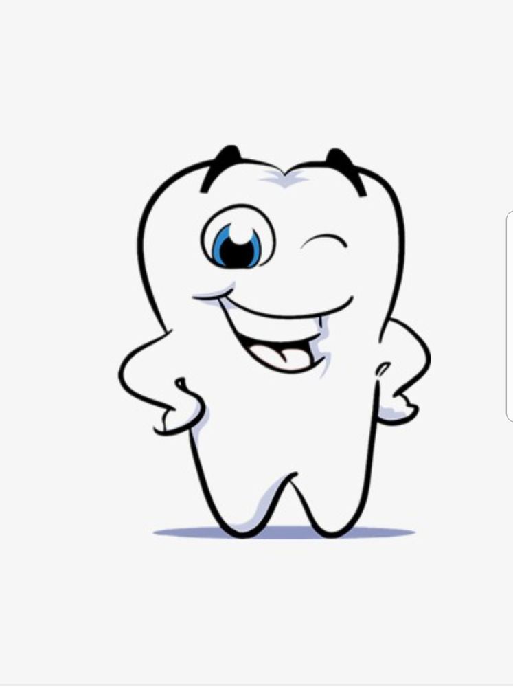 STELLAR DENTAL CARE Updated September 2024 16 Reviews 3557 Union