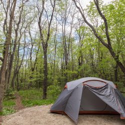 Passaconaway Campground - Campsite #10