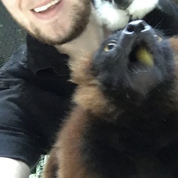 Austin Aquarium - Some Lemurs, keeping it real - Aquariums Near Me - Austin, Texas Austin Aquarium - Some Lemurs, keeping it real - Aquariums Near Me - Austin, Texas