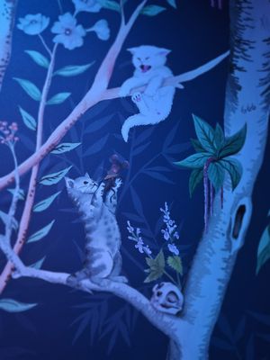 Gato Exotico by null