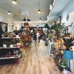 The Potted Palm - Storefront
