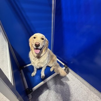 The Ruff House - Mom & Dad, you can check me out with an exclusive camera while I am boarding! - Pet Boarding Near Me - Castle Rock, Colorado The Ruff House - Mom & Dad, you can check me out with an exclusive camera while I am boarding! - Pet Boarding Near Me - Castle Rock, Colorado