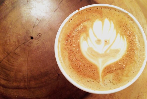 Homecoming by null Homecoming by null