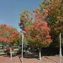 Photo of Boyle Square