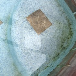 Oceans Luxury Vacations - Nasty pool