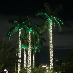 The Walk at University