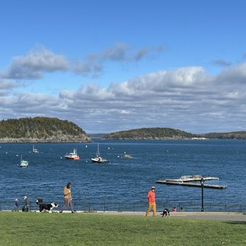 Frenchman Bay Lobster Rolls - Beautiful views - Seafood Near Me - Bar Harbor, Maine