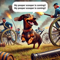 Poo Patrol Pet Waste Removal