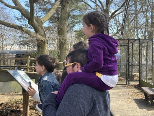 Connecticut's Beardsley Zoo by null