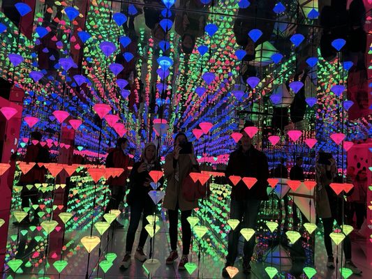 Moco Museum | Amsterdam by null