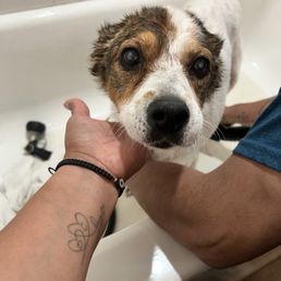Lovey's bath