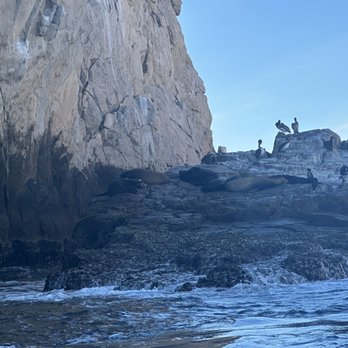 Cabo Trek - Whale Watching Tours Near Me - Cabo San Lucas, BCS