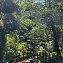 Van Damme State Park - Bridge