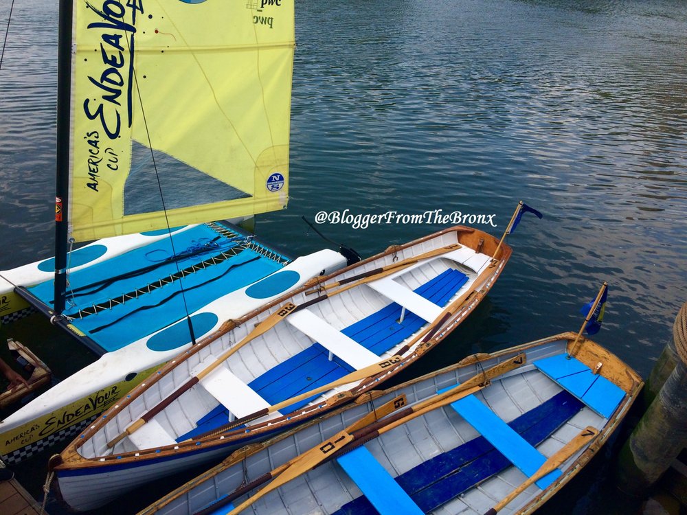 Rocking the Boat - social services organization in Bronx, NY