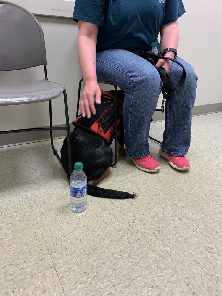 BRANCHVILLE ANIMAL HOSPITAL Updated May 2024 10559 US Hwy 411