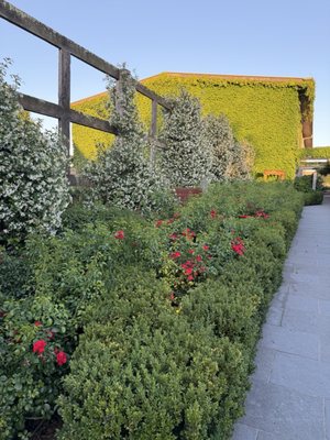 The Farmhouse at Meletos by null