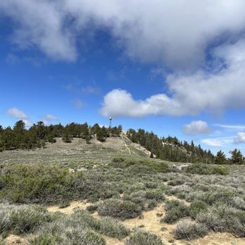 Mount Pinos - Hiking Near Me - Frazier Park, California