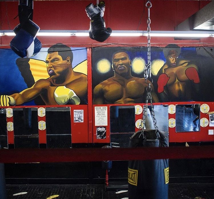 BRUNSWICK BOXING STARS Updated September 2024 784 Carolier Ln