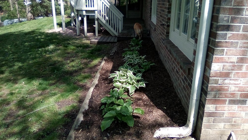 Slide of Morning Dew Property Preservation