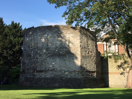 Museum Gardens by null