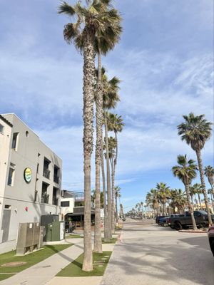 Ocean Park Inn by null