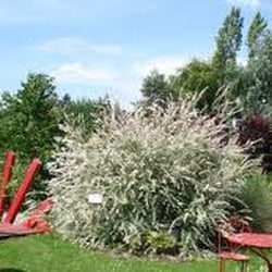 Les Jardins D'Evea
