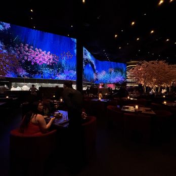 Three Thirty Three - Steakhouses Near Me - Tempe, Arizona
