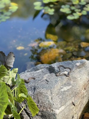 Chatfield State Park Campground by null