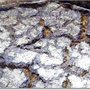 Bäckerei Winter - Die Vollkornbäckerei