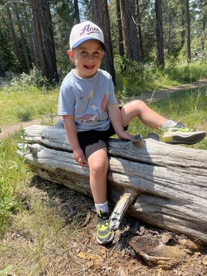 Tallac Historic Site by null