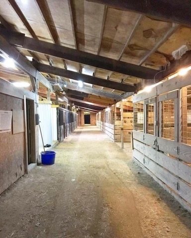 Faber Farms - equestrian in Villa Ridge, MO