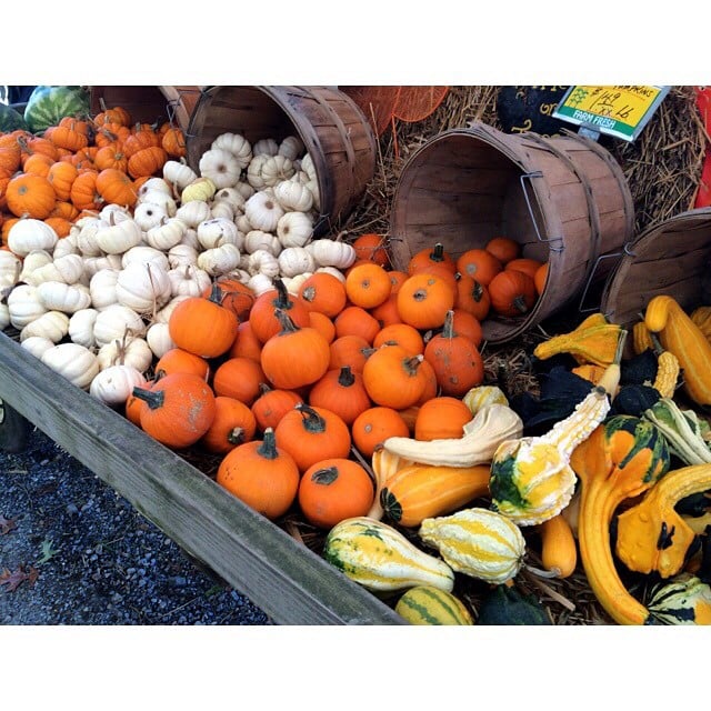 PUMPKIN PATCH FARM STAND Updated July 2024 142 Long Island Ave
