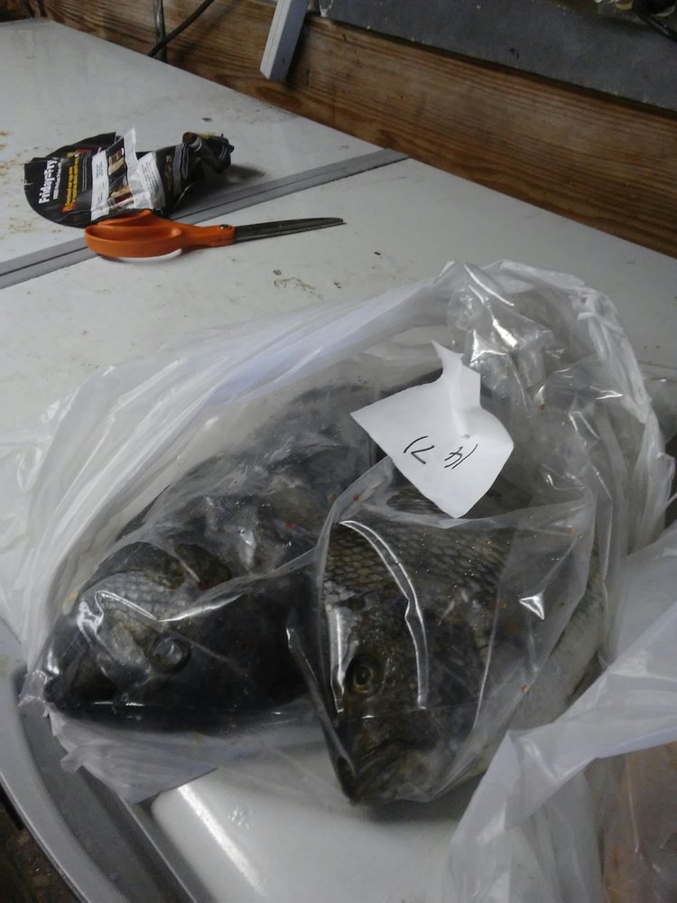 MASTRY’S BAIT & TACKLE Updated October 2024 1700 4th St S, Saint Petersburg, Florida