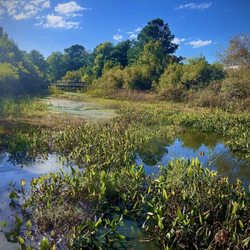 Cape Charles Natural Preserve