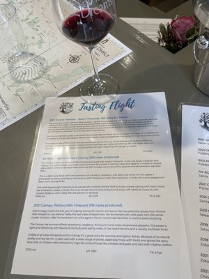 Camins 2 Dreams by null