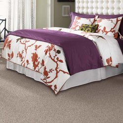The Floor Guy - Carpet
