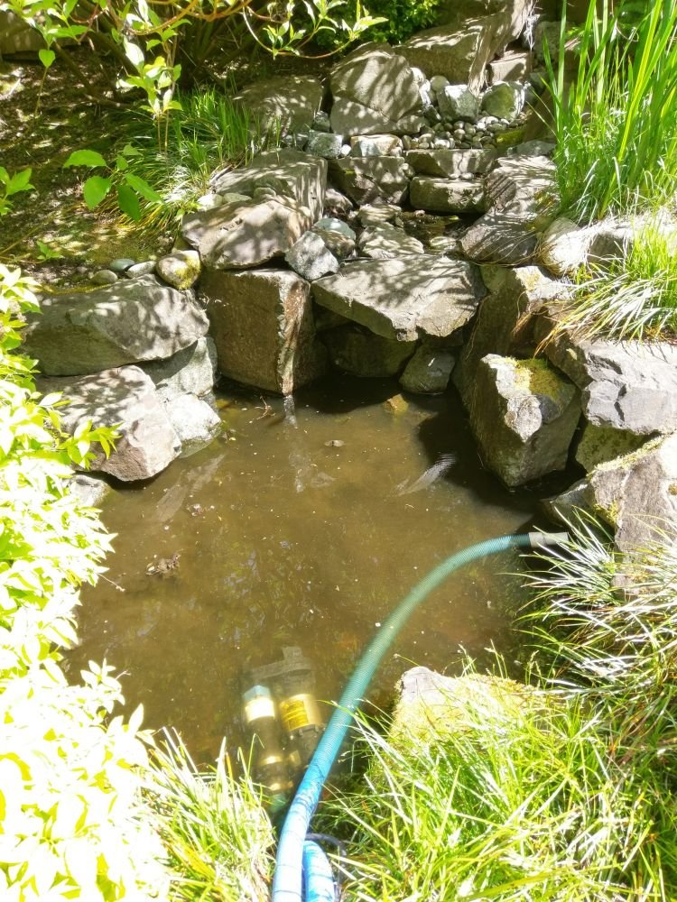 Slide of Rainier Aquascapes