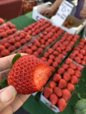 placentia certified farmers market by null