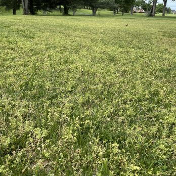 Scott Lawn & Landscape - Mostly weeds - Landscaping Near Me Scott Lawn & Landscape - Mostly weeds - Landscaping Near Me