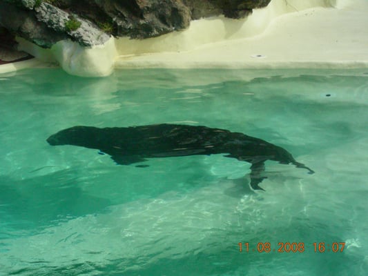 Biarritz Aquarium by null