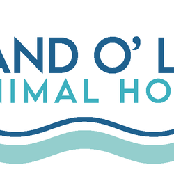 Land O Lakes Animal Hospital - logo