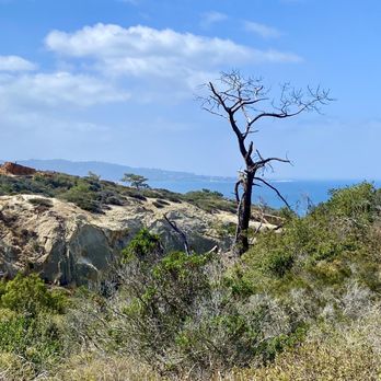 Torrey Pines State Reserve - Coastal views - Parks Near Me - La Jolla, California Torrey Pines State Reserve - Coastal views - Parks Near Me - La Jolla, California