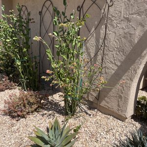 CVS PHARMACY - Updated April 2025 - 19 Photos & 45 Reviews - 31771 ...