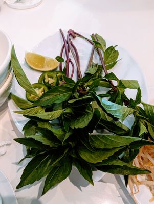 Phở Sapa by null