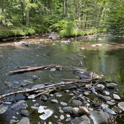 Cotton Hollow Preserve
